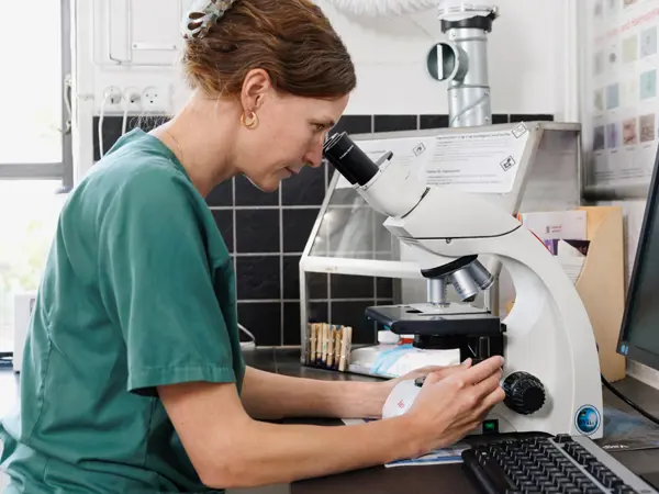 Dyrlæge analyserer laboratorieprøve fra kæledyr hos Dyreklinikken Centrum